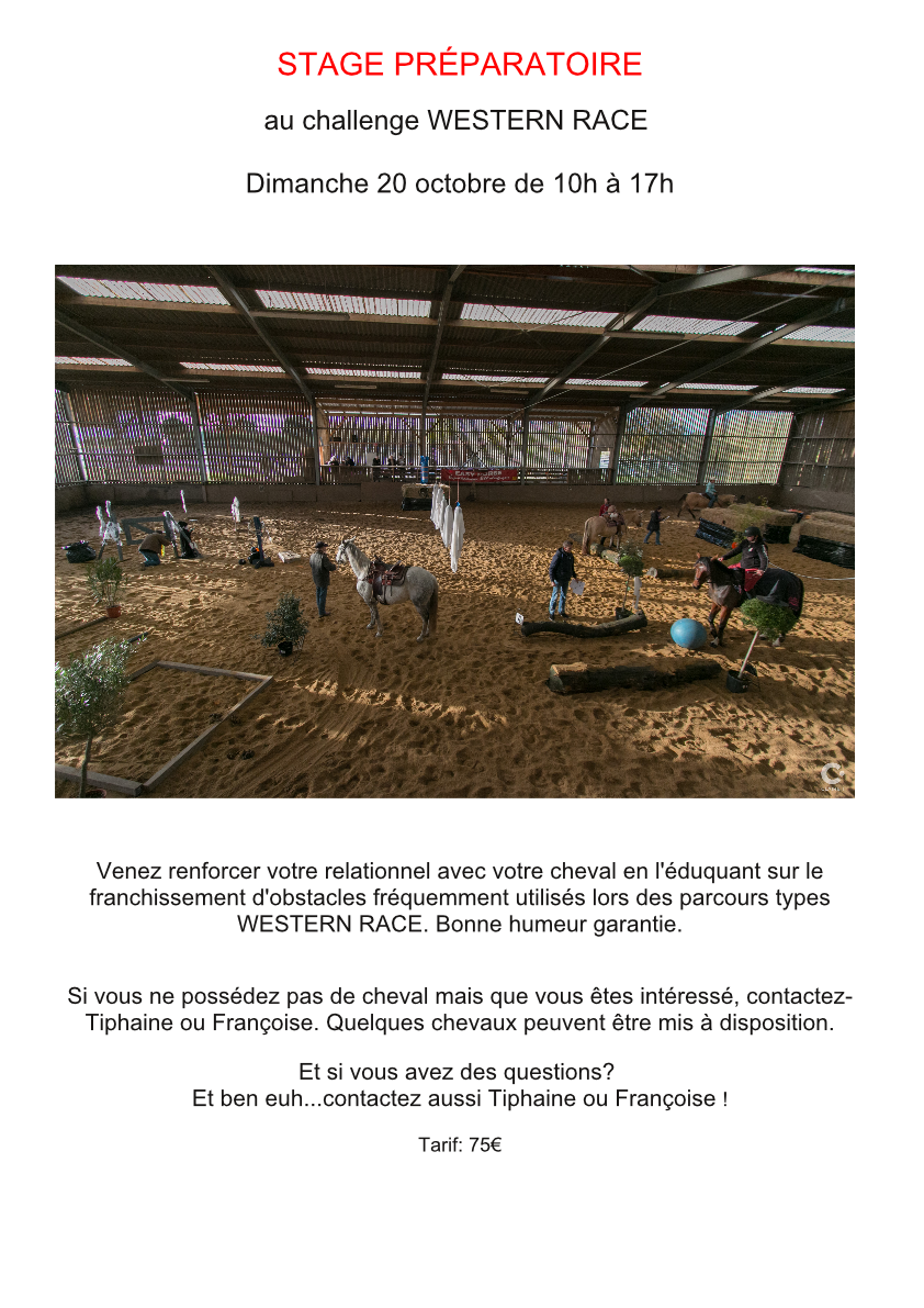 Challenge WESTERN RACE, Easy horse